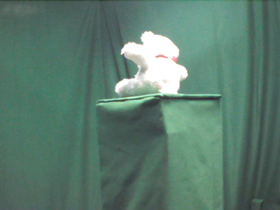135 Degrees _ Picture 9 _ Small White Teddy Bear.png